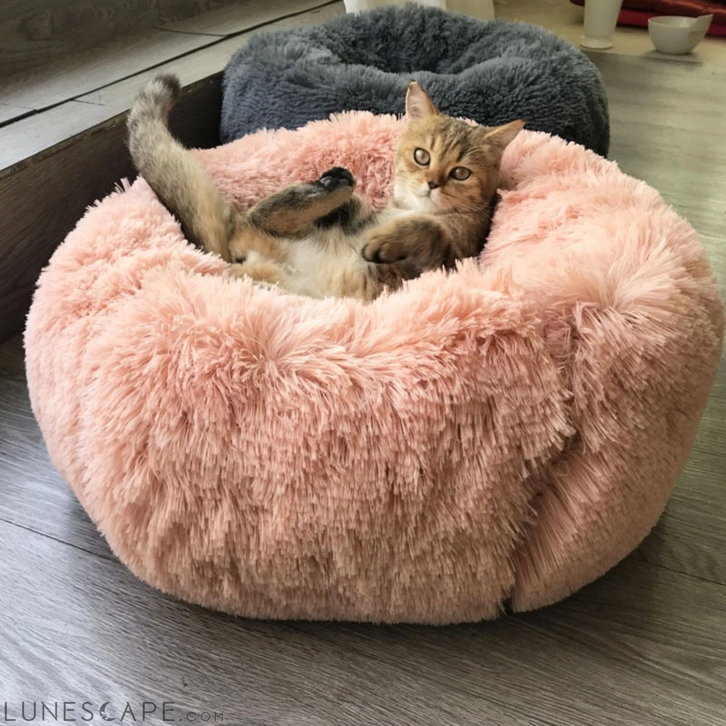 Super Luxe Plush Pet Bed (XS-XXL) LUNESCAPE