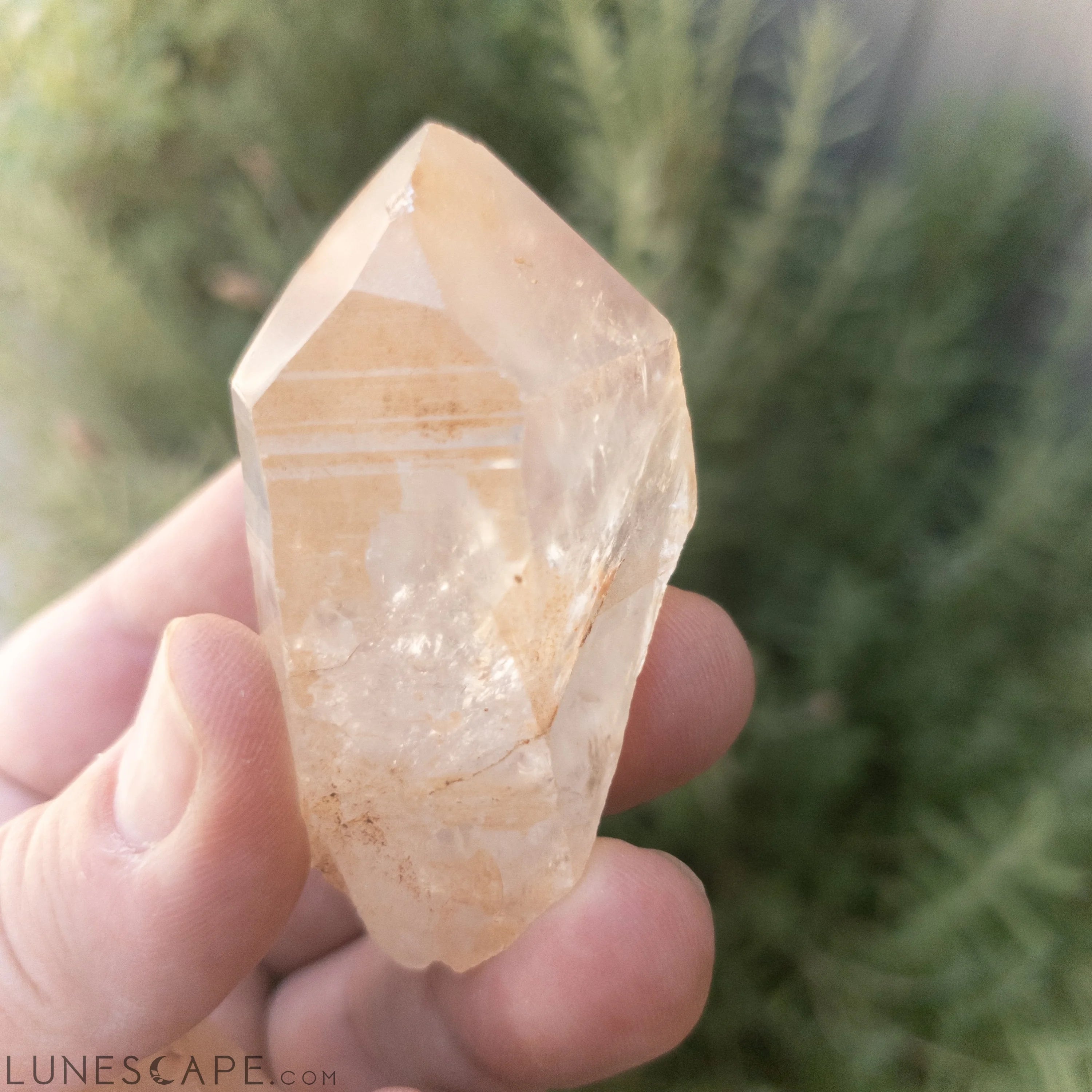 Tangerine Quartz Points LUNESCAPE