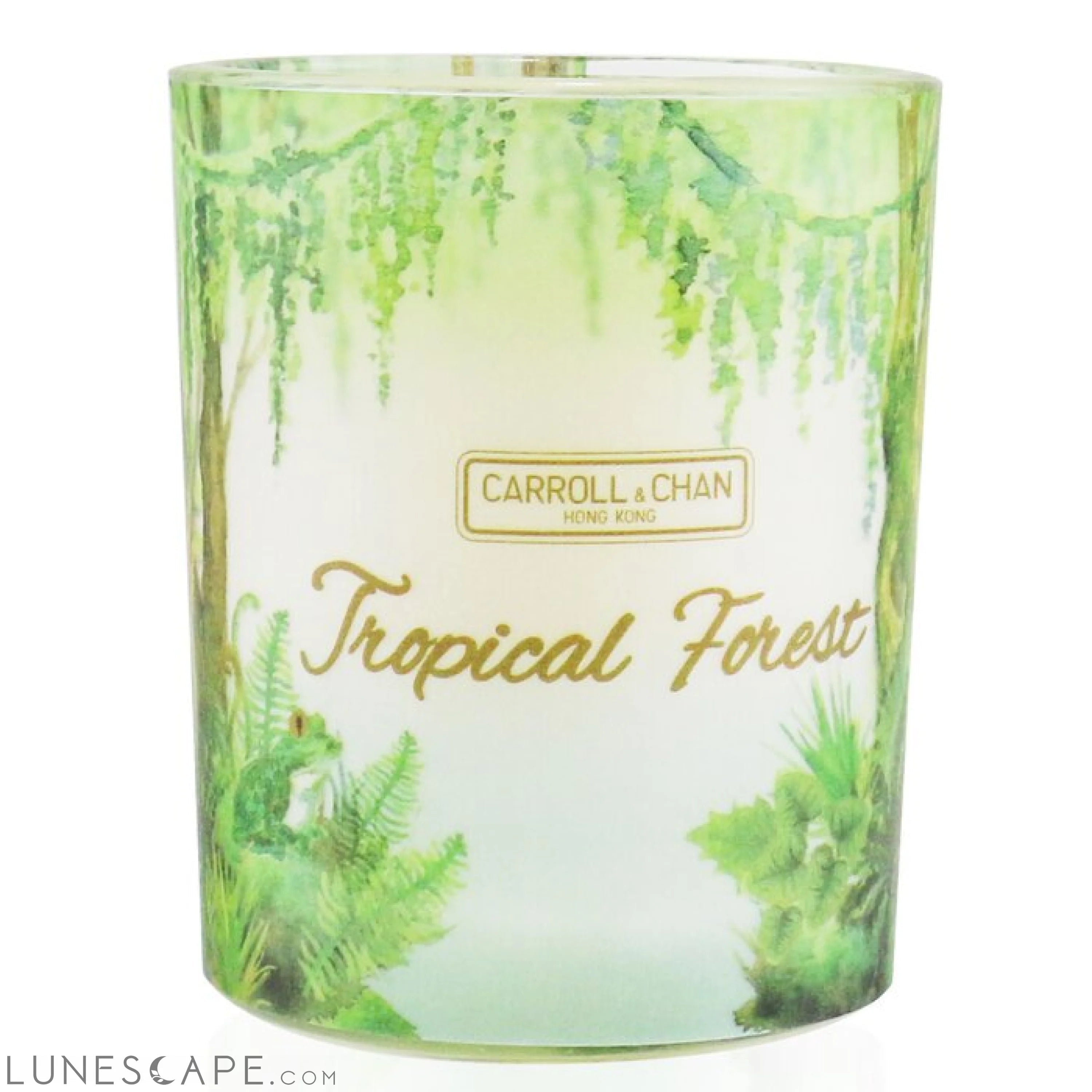 The CANDLE COMPANY- 100% Beeswax Votive Candle - Tropical Forest LUNESCAPE