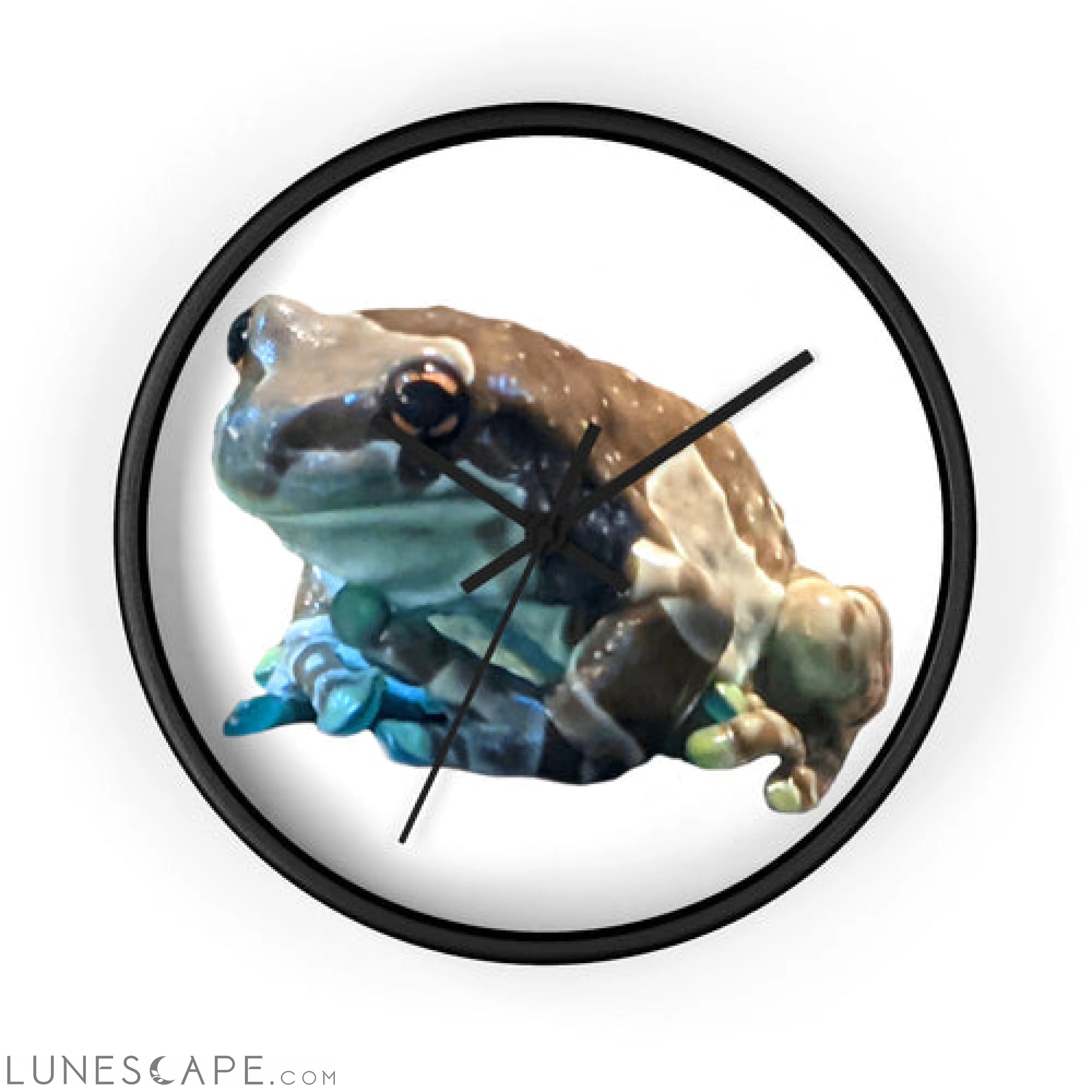 Toad Wall clock LUNESCAPE