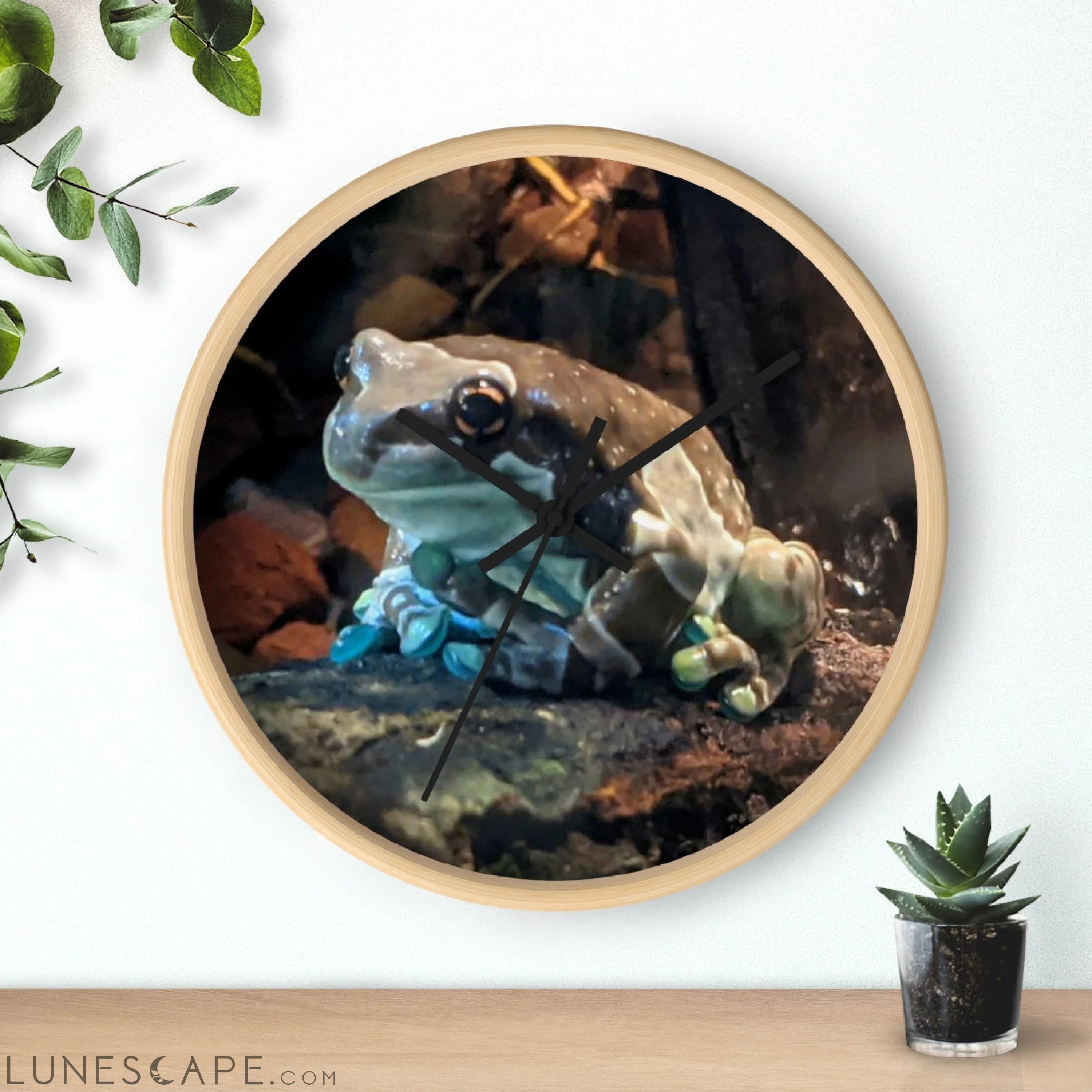 Toad Wall clock LUNESCAPE