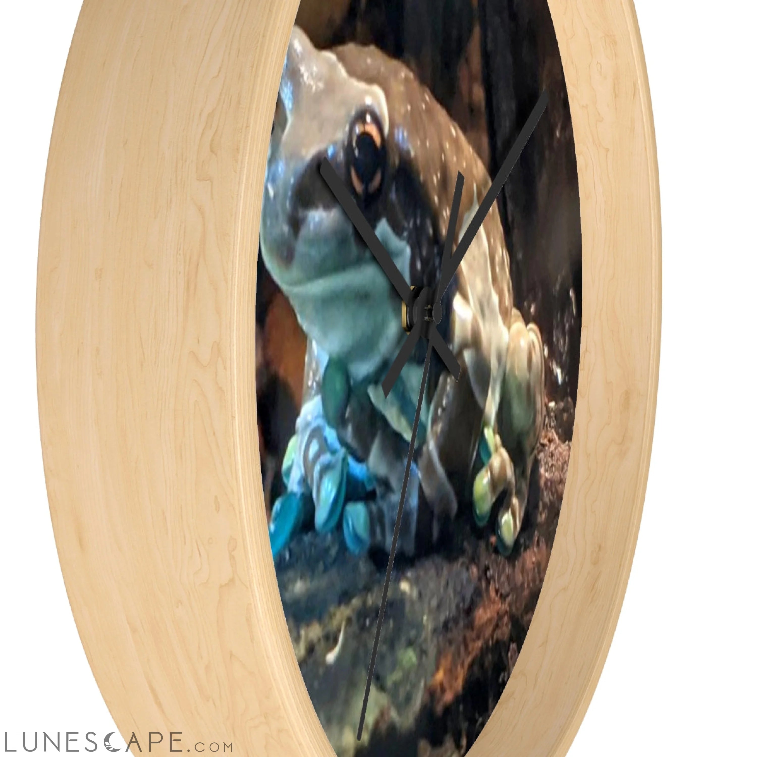 Toad Wall clock LUNESCAPE