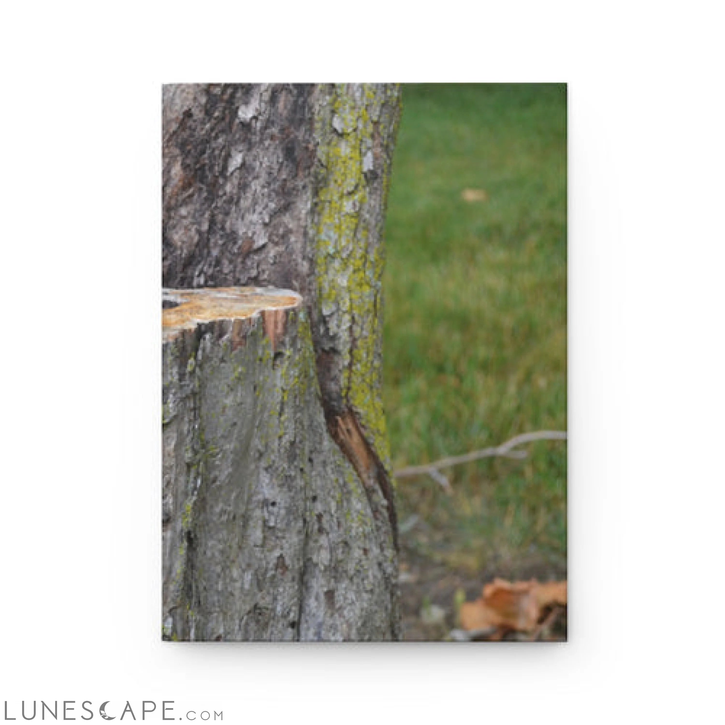 Tree Stump Hardcover Journal Matte LUNESCAPE