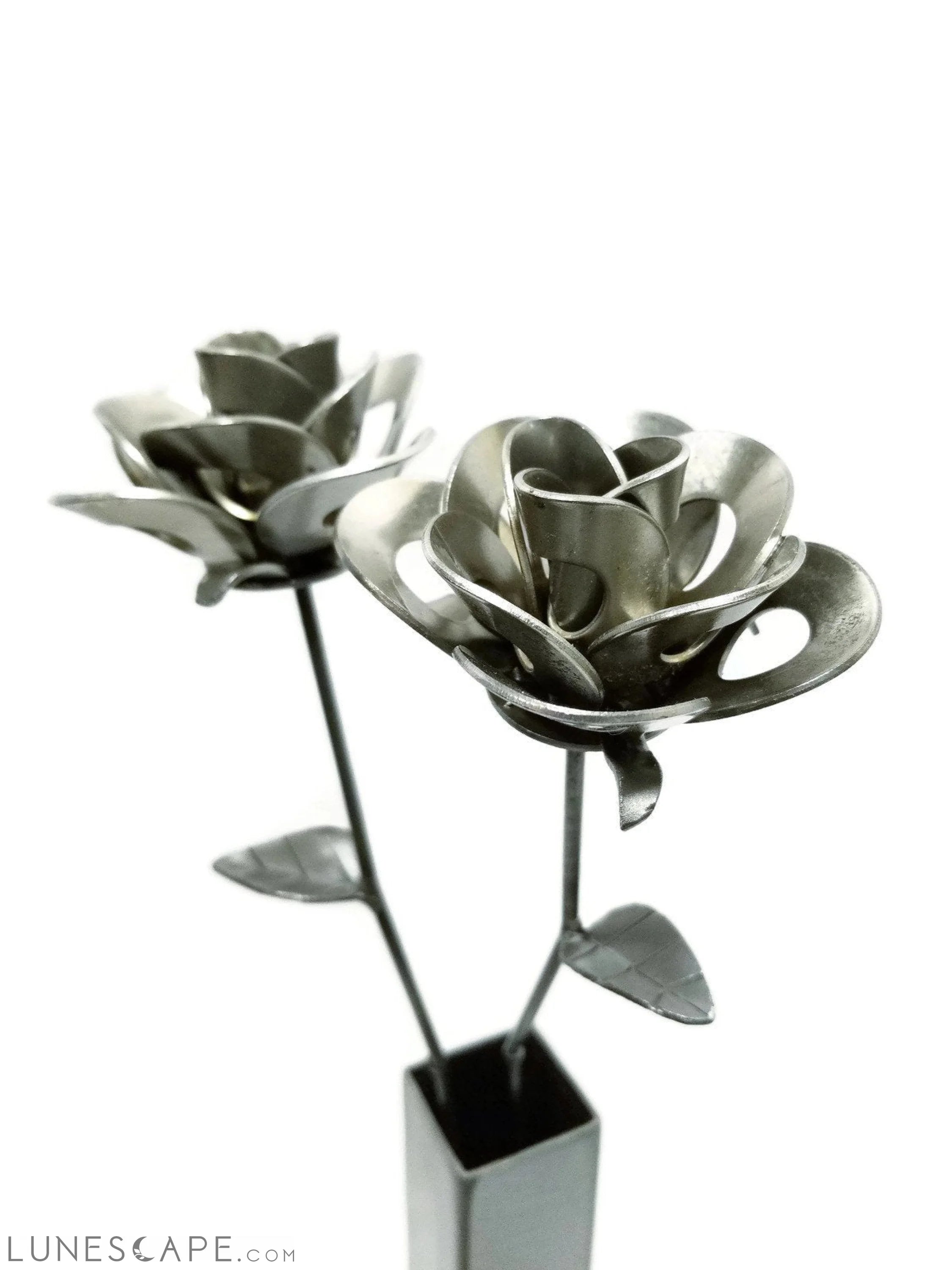 Two Metal Roses and Vase, Metal Roses with Vase, Steampunk Roses LUNESCAPE