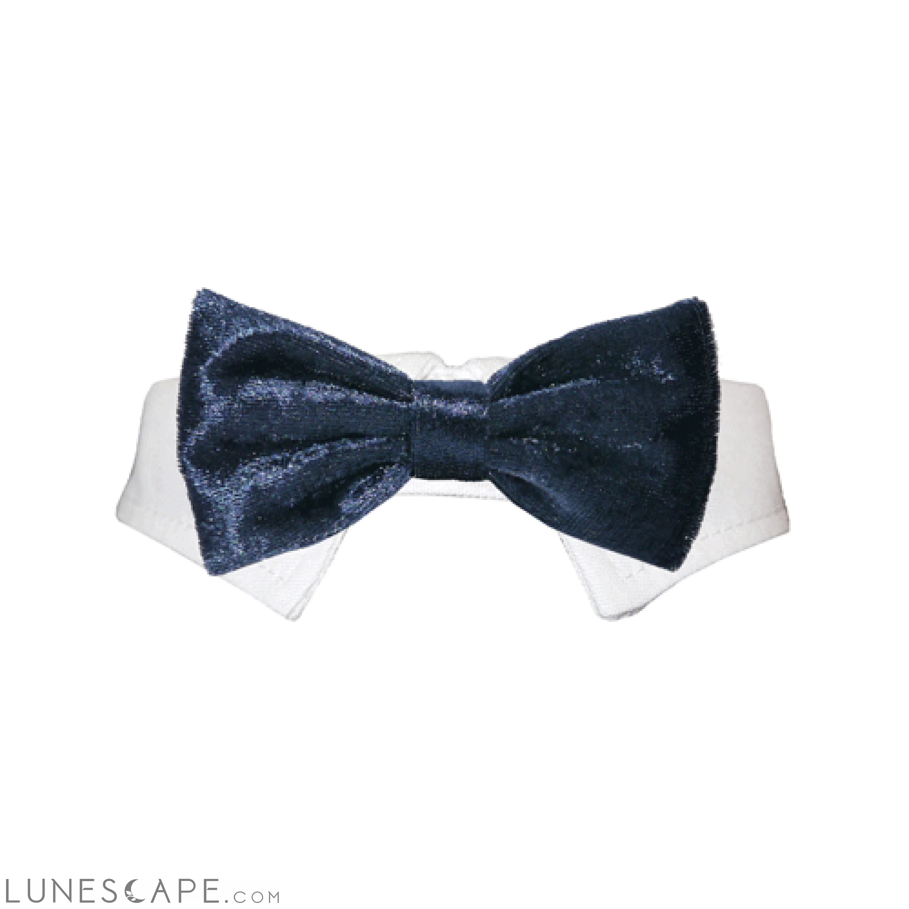 Valentino Bow Tie - Navy Blue LUNESCAPE