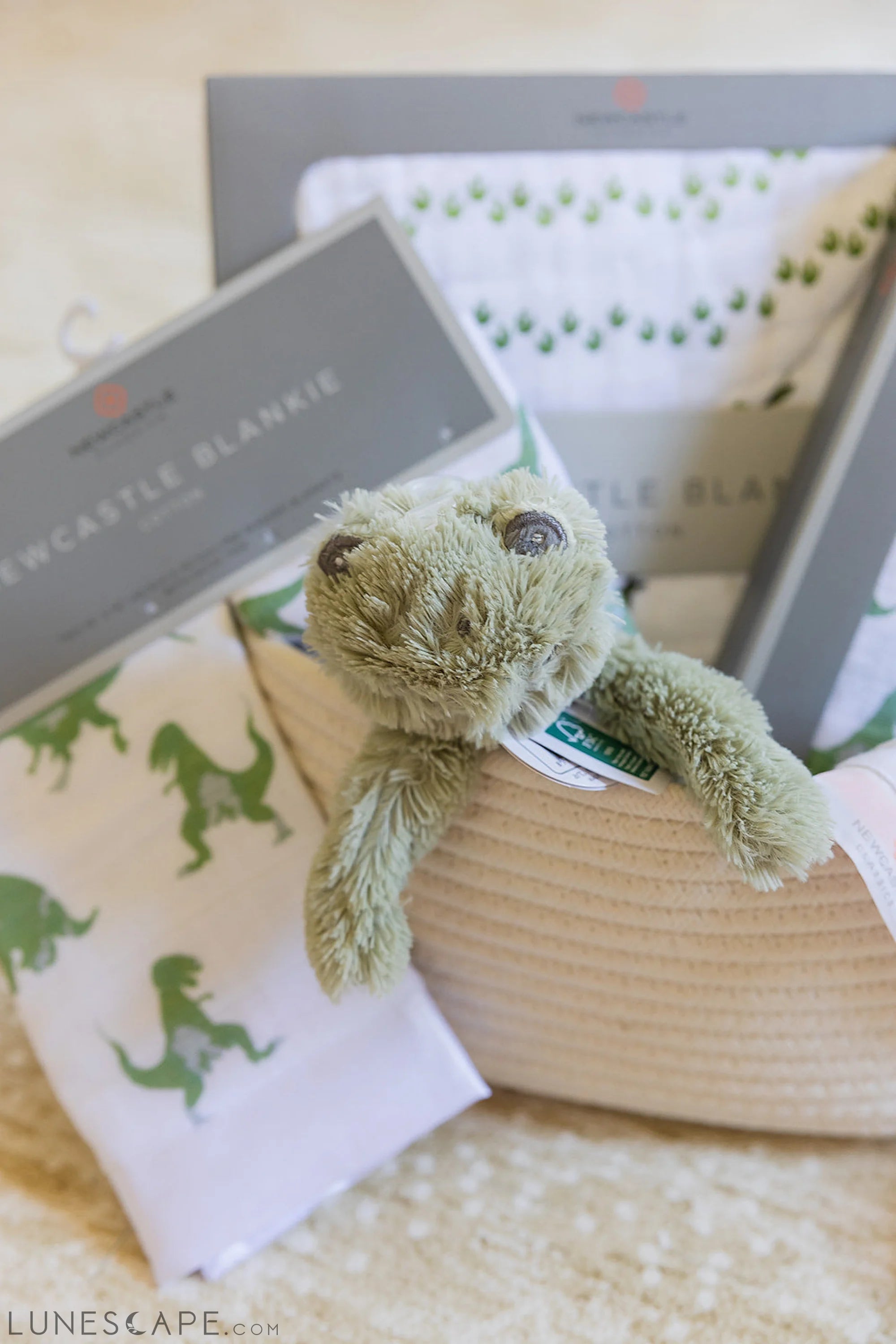 Welcome Baby Boy - Dinosaur Gift Basket LUNESCAPE