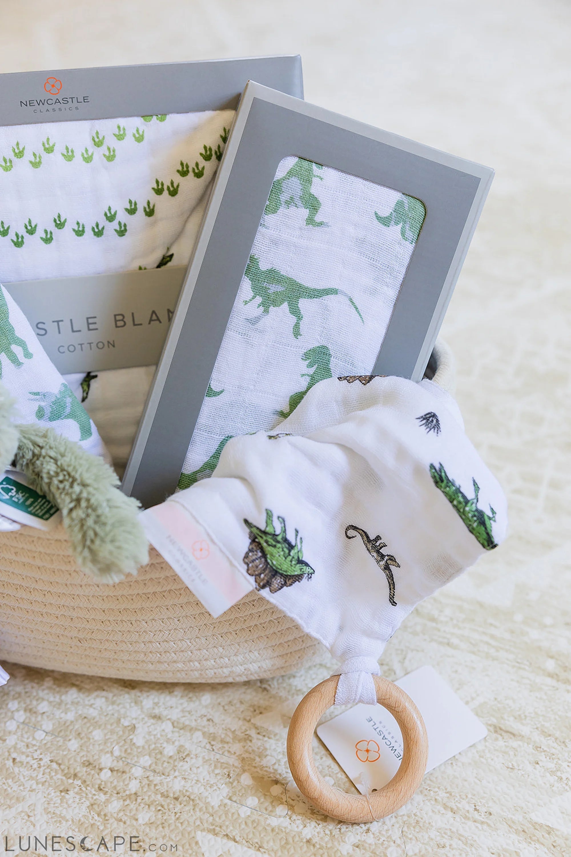 Welcome Baby Boy - Dinosaur Gift Basket LUNESCAPE