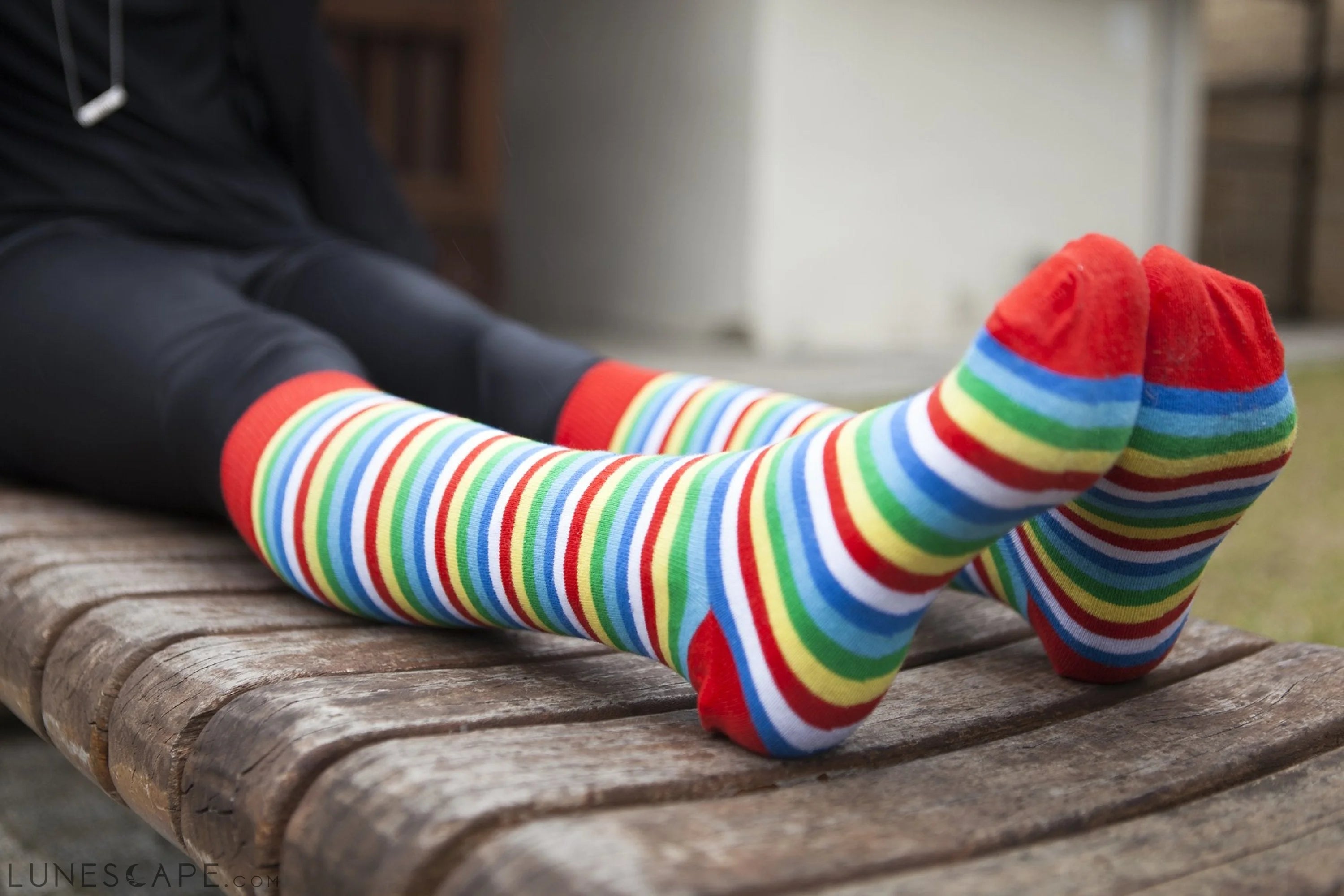 Women's Cherry Stripe Knee High Socks LUNESCAPE