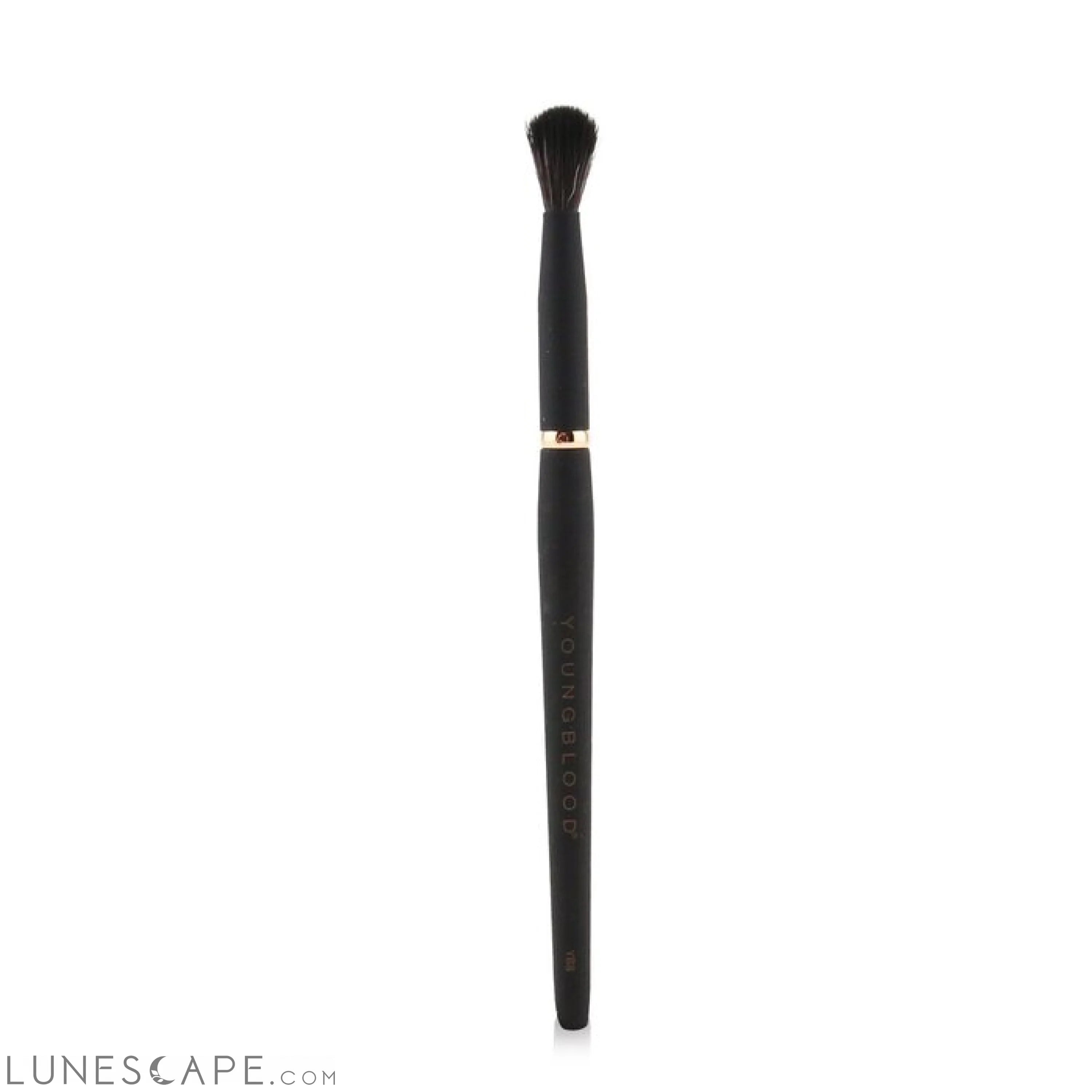 YOUNGBLOOD - YB8 Tapered Blending Brush LUNESCAPE