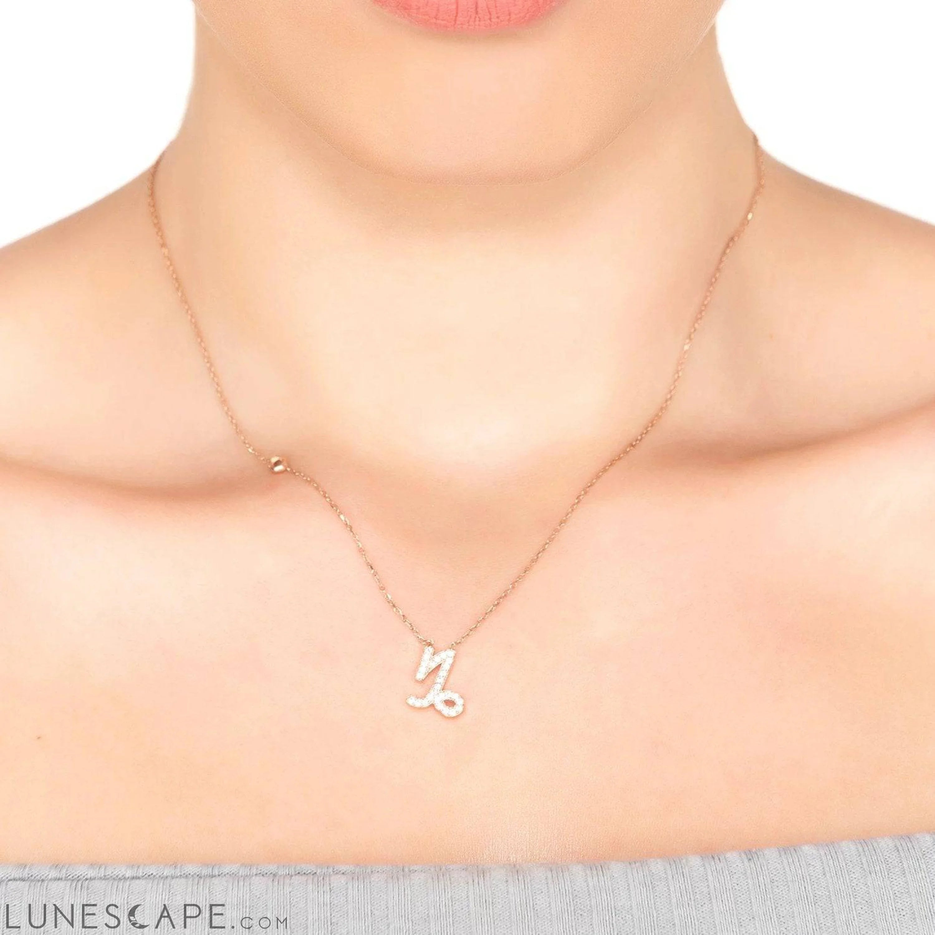 Zodiac Star Sign Pendant Necklace Silver Capricorn LUNESCAPE